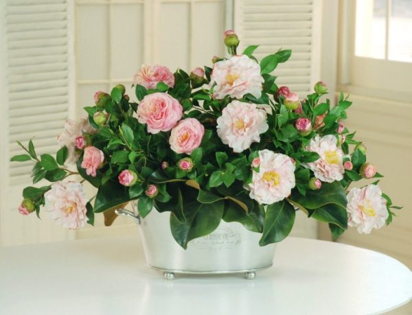 Peach Blossom Delight - Image 3